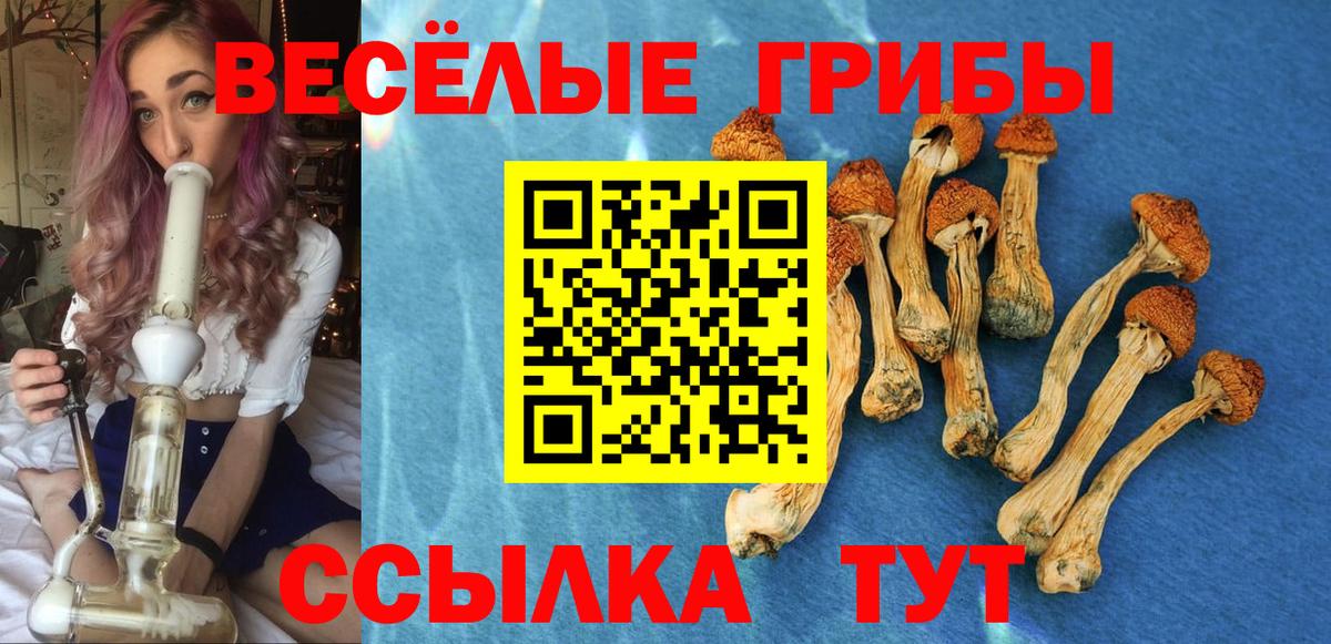Псилоцибиновые грибы MAGIC MUSHROOMS Наро-Фоминск