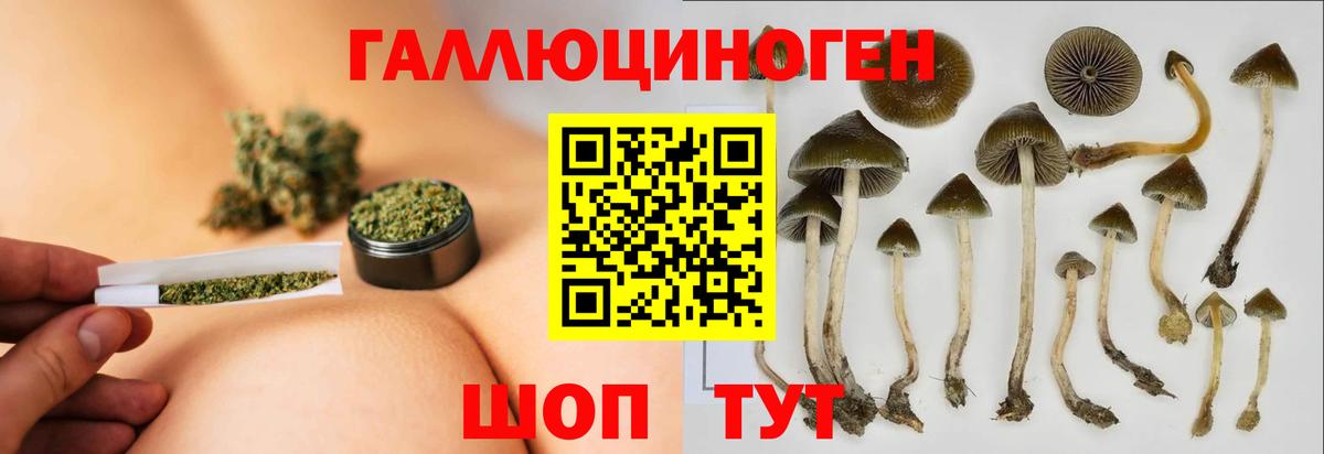Наро-Фоминск  Галлюциногенные грибы Psilocybine cubensis  Псилоцибиновые грибы Cubensis  Вход с VPN 